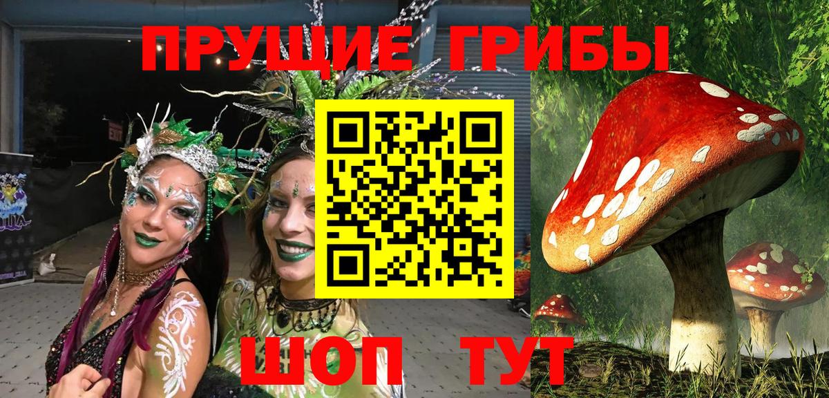 Галлюциногенные грибы прущие грибы Ангарск