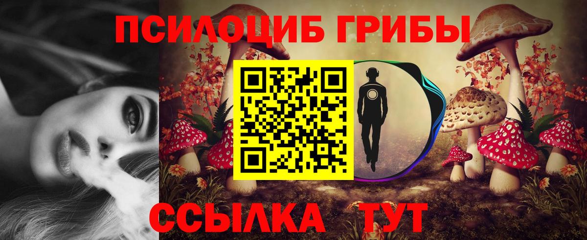 Ангарск  где продают   Вход с VPN  Псилоцибиновые грибы MAGIC MUSHROOMS 